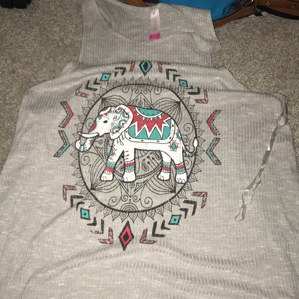 Gray , tribal elephant
